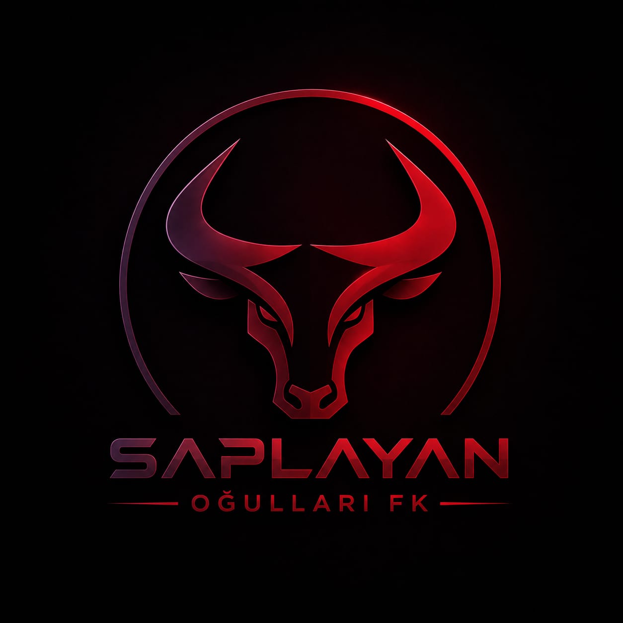SAPLAYAN OĞULLARI FK