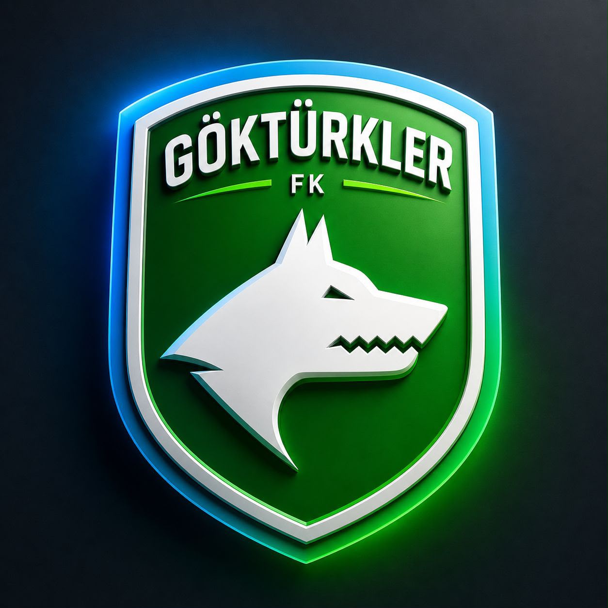 GÖKTÜRKLER FK