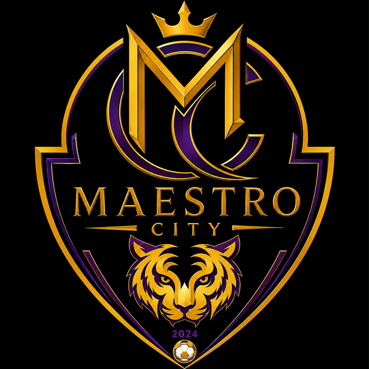 MAESTRO CİTY FC